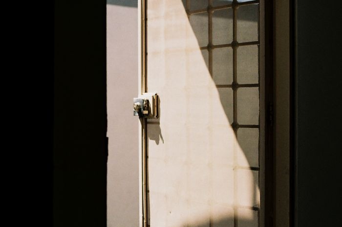 The Year You Stopped Asking Permission